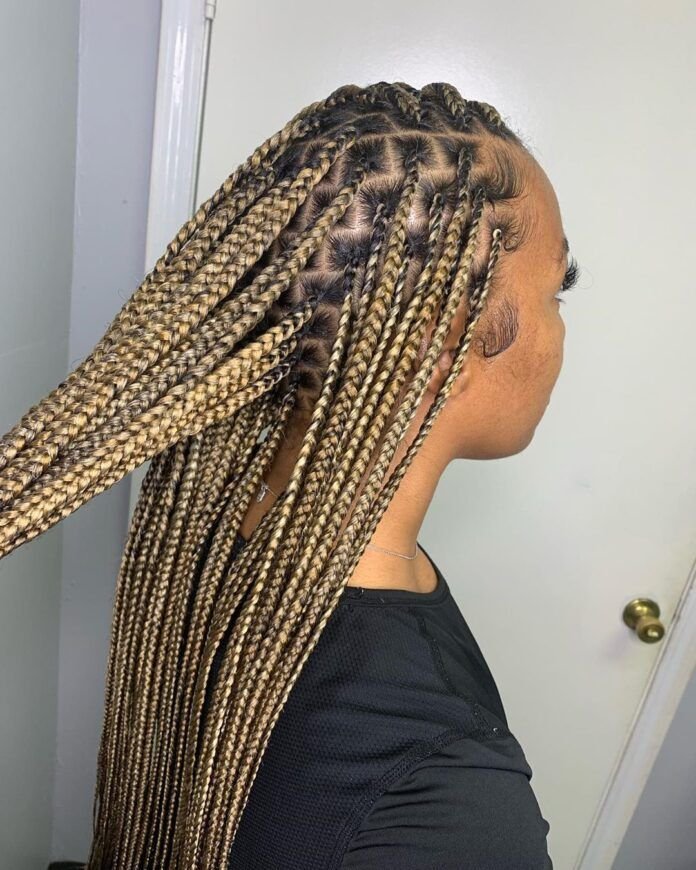 Braids 3